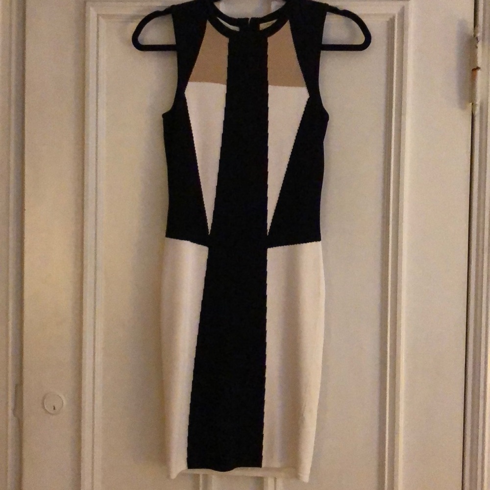 Torn by Ronny Kobo dress